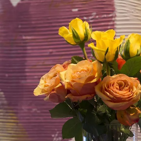 Campus Garden Businesshotel Hotel 4*