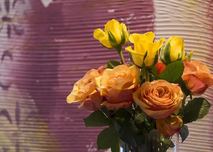 校园花园商务酒店 酒店 4*